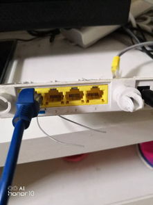 电视宽带线如何连接电脑？解决“未插入网线”问题指南